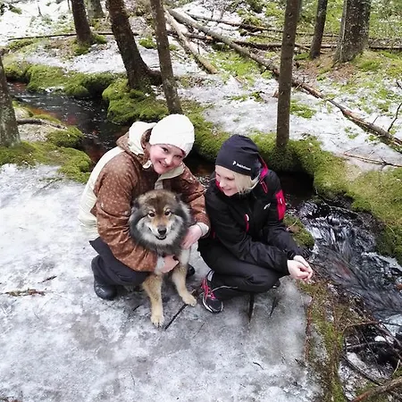 Sypressi Matildedal