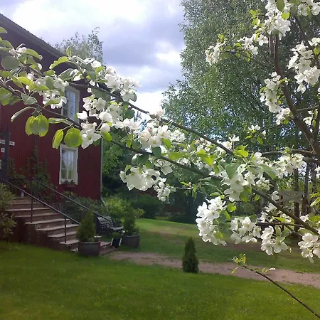 Sypressi * Matildedal