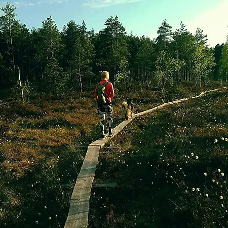 Sypressi * Matildedal